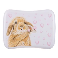 Ashdene Bunny Hearts - Lunch Box