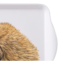 Ashdene Bush Buddies - Scatter Tray Echidna 2 Pack