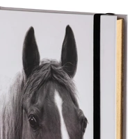 Ashdene Horse Trio - Chestnut Hardcover A5 Notebook