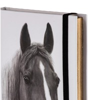 Ashdene Horse Trio - Chestnut Hardcover A6 Notebook