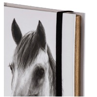 Ashdene Horse Trio - Grey Hardcover A6 Notebook