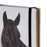 Ashdene Horse Trio - Black Hardcover A6 Notebook