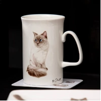 Ashdene Purrrfect Moments Mug - Ragdoll