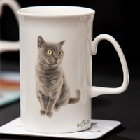 Ashdene Purrrfect Moments Mug - British Short Hair
