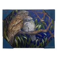 Ashdene Midnight Tawny - Surface Protector