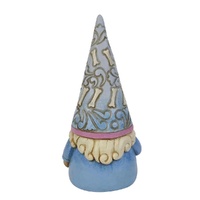 Jim Shore Heartwood Creek Gnomes - Gnome With Dog