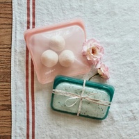 Stasher Sandwich Bag - Guava
