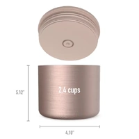 Bentgo - Insulated Food Container Rose Gold