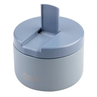 Oasis Double Wall Insulated Quick Release Lid Food Flask - 300ml Hazy Blue