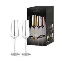 Tempa Aurora - Silver Champagne Glass 2 Pack