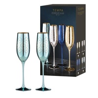 Tempa Estelle - Aqua Champagne Glass 2 Pack