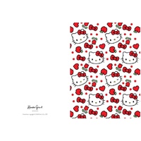 All Wrapped Up - Hello Kitty & Friends Card and Envelope Set