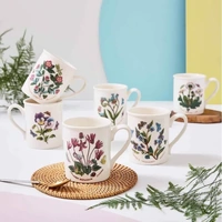 Portmeirion Botanic Garden - Breakfast Mugs - Mixed Motifs 0.26L (Set of 6)