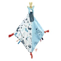 Beatrix Potter Peter Rabbit - Developmental Comfort Blanket