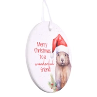 Splosh Christmas 2025 - Wombat Keepsake