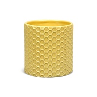 Half Moon Bay Disney - Plant Pot - Winnie The Pooh Honeycomb