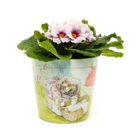 Jardinopia Eco Pot Bamboo - Beatrix Potter Set Of 3