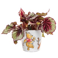 Jardinopia Eco Pot Bamboo - Disney Winnie The Pooh Daisy Chain Set Of 3