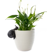 Jardinopia Pot Buddies - Antique Bronze Snail
