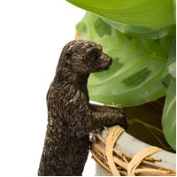 Jardinopia Pot Buddies - Antique Bronze Meerkat