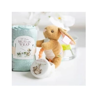 Mary Meyer - Taggies - Harmony Bunny Teether Rattle
