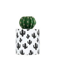 Pot Plant By Splosh - Thanks For Being Such A Great Friend 
