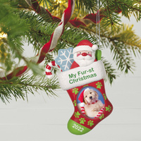 2022 Hallmark Keepsake Ornament - Pet's Fur-st Christmas Stocking Photo Frame