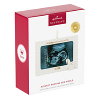 2026 Hallmark Keepsake Ornament - Already Rocking Our World Photo Frame Porcelain