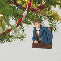 2022 Hallmark Keepsake Ornament - Fantastic Beasts Newt Scamander Fantastic Beasts and Where to Find Them