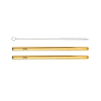Frank Green Accessory - Original Straw Pack + Brush 595ml/170mm Living Coral