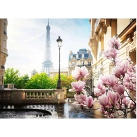 Ravensburger Puzzle 500pc - Springtime in Paris