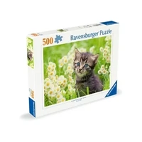 Ravensburger Puzzle 500pc - Kitten in the Meadow