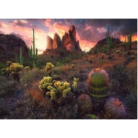 Ravensburger Puzzle 500pc - Cactus