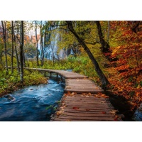 Ravensburger Puzzle 1000pc - Autumnal Forest Path
