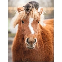 Ravensburger Puzzle 500pc - The Little Rider