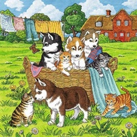 Ravensburger Puzzle 3 x 49pc - Cats and Dogs