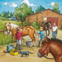 Ravensburger Puzzle 3 x 49pc - A Day with Horses
