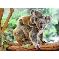Ravensburger Puzzle 200pc XXL - Koala Love