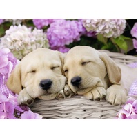 Ravensburger Puzzle 300pc XXL - Sweet Dogs In A Basket