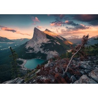Ravensburger Puzzle 1000pc - Wild Nature