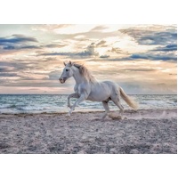 Ravensburger Puzzle 500pc - Evening Gallop