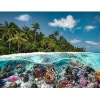 Ravensburger Puzzle 2000pc - A Dive in the Maldives