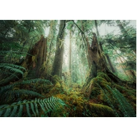 Ravensburger Puzzle 1000pc - In The Forest