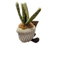 Greenhouse by Russ Plant Plush - Tyler the Snake Plant 6inch