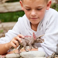 Schleich Dinosaurs - Triceratops