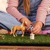 Schleich Horse Club - Emily's Care Set