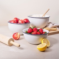 Bakemaster - Enamel Mixing Bowl - 24cm