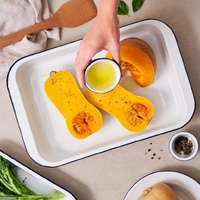 Bakemaster - Enamel Bake and Roast Pan - 29 x 22 x 5cm