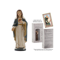 Inspirational Catholic Saint - Sacred Heart Of Mary