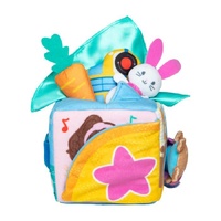 Ms. Rachel - Surprise Learning Box